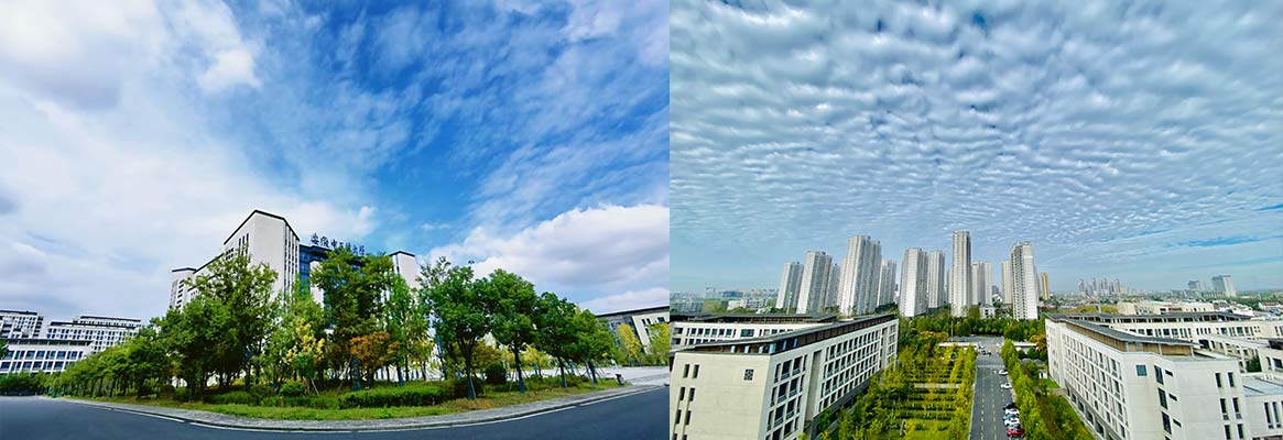 ANHUI UNIVERSITY OF CHINESE MEDICINE 5