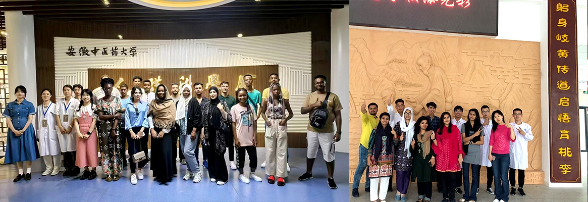 ANHUI UNIVERSITY OF CHINESE MEDICINE 9