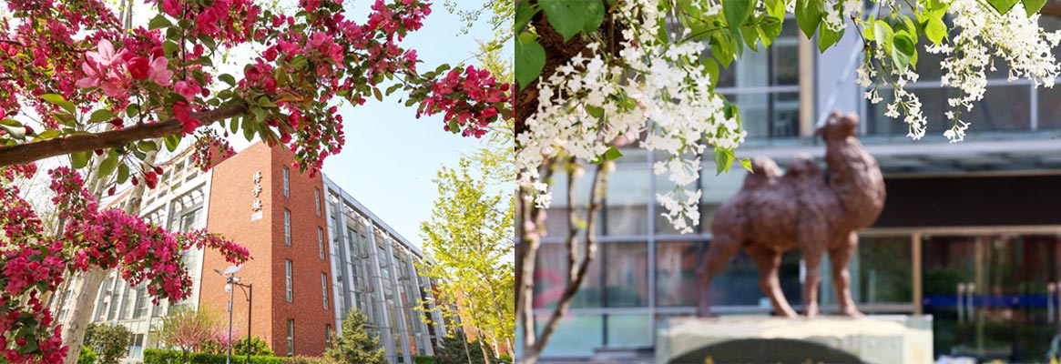 CAPITAL UNIVERSITY OF ECONOMICS AND BUSINESS 4