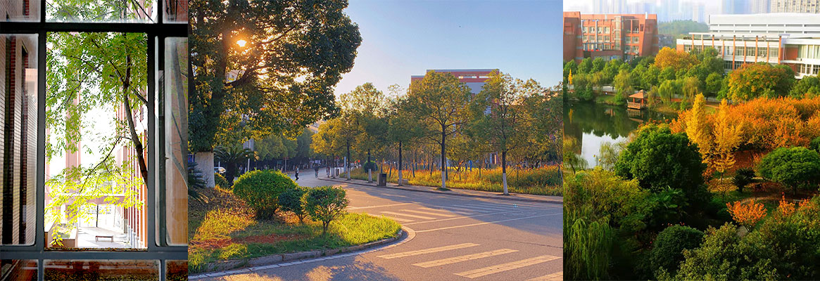Hunan University of Technology 3