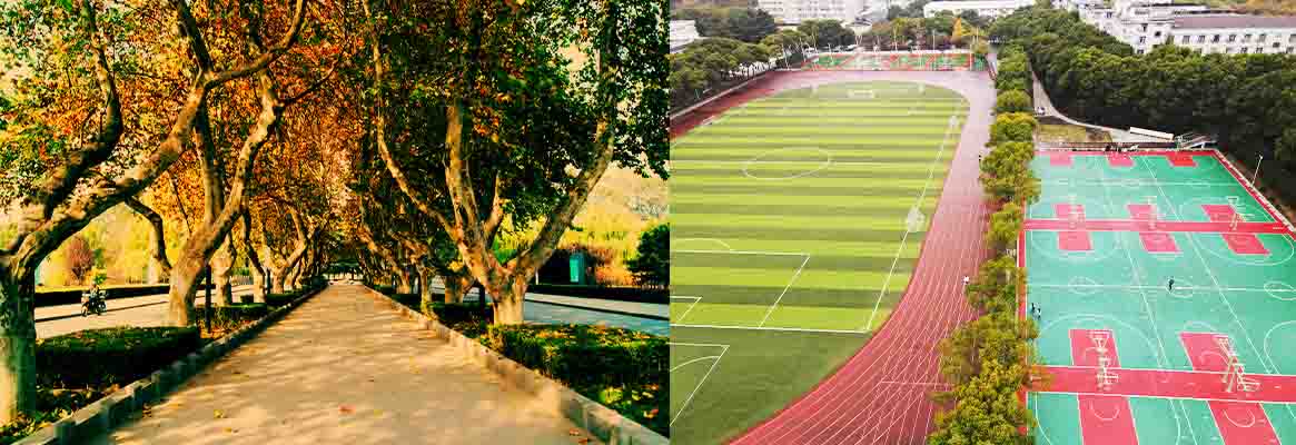 JIANGSU UNIVERSITY 3