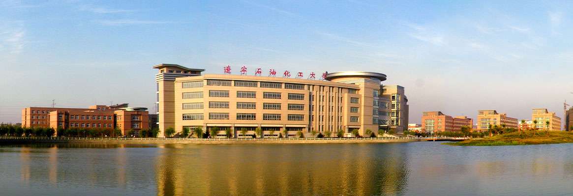 LIAONING PETROCHEMICAL UNIVERSITY 3