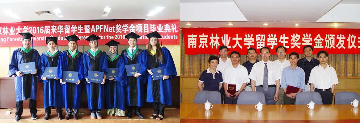 NANJING FORESTRY UNIVERSITY 4
