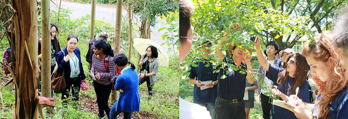 NANJING FORESTRY UNIVERSITY 5
