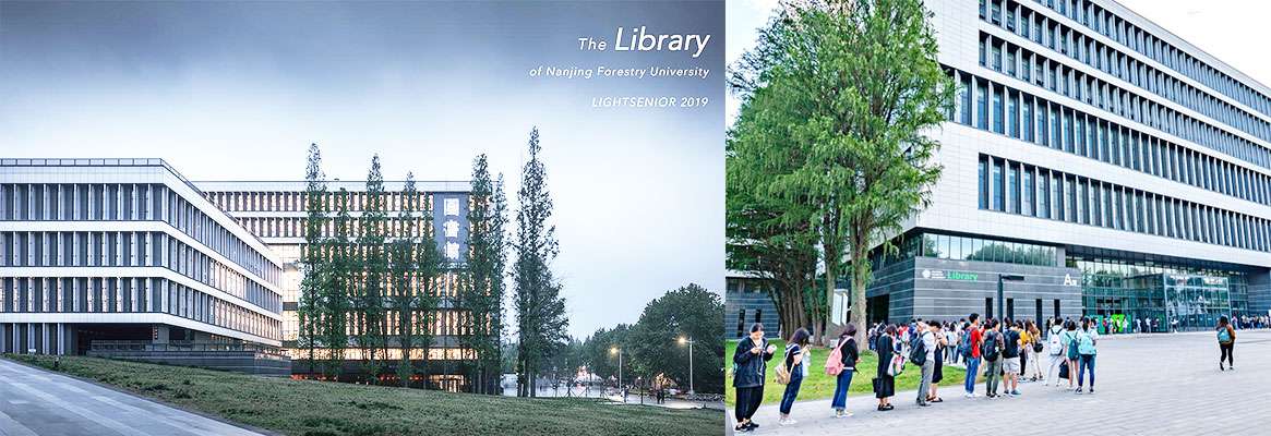 NANJING FORESTRY UNIVERSITY 6