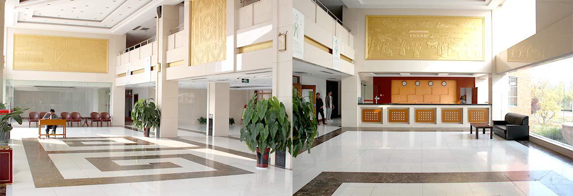 SHANDONG FIRST MEDICAL UNIVERSITY 6