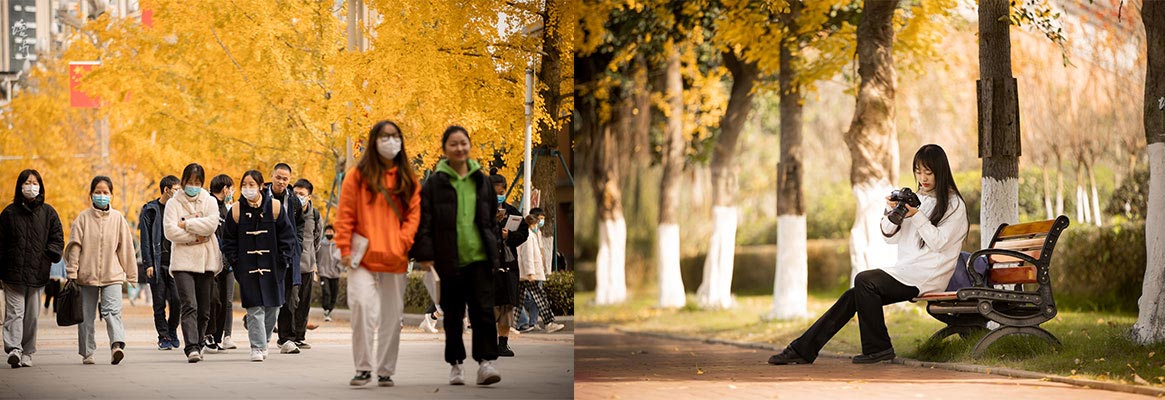 SICHUAN VOCATIONAL COLLRGE OF CULTURAL INDUSTRIES 2