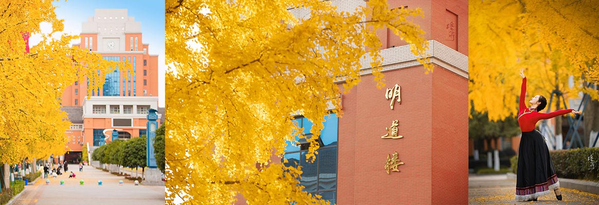 SICHUAN VOCATIONAL COLLRGE OF CULTURAL INDUSTRIES 3
