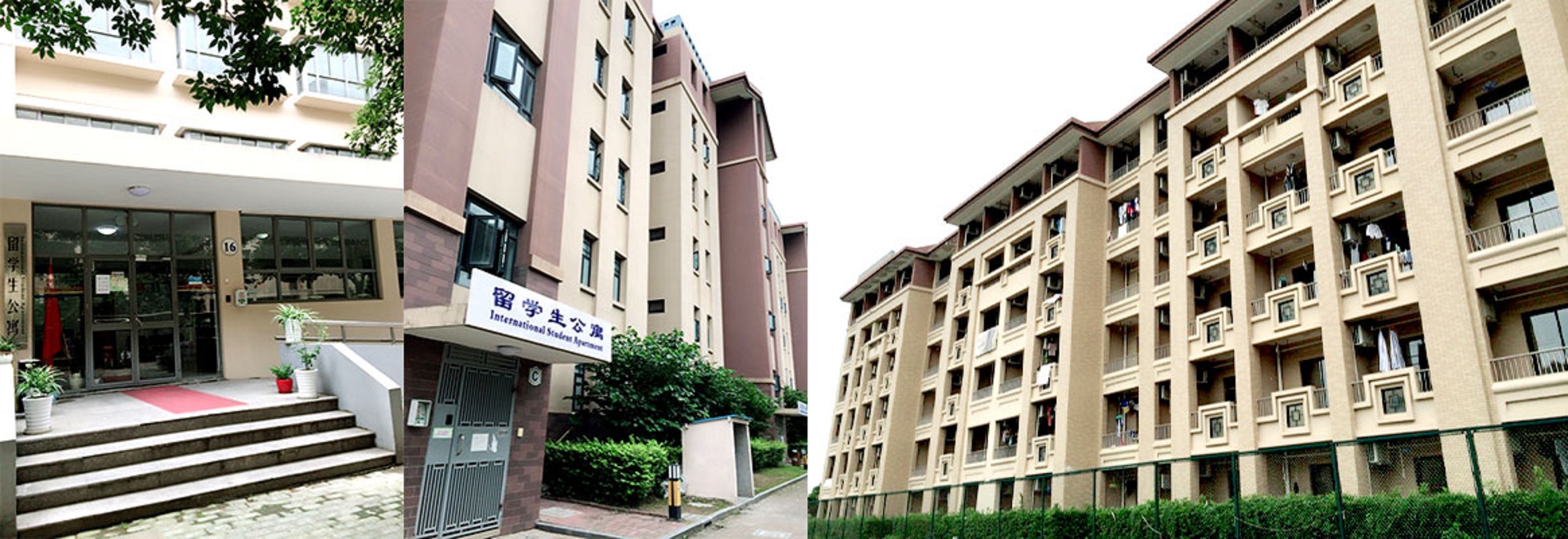 Shanghai University of Political Science and Law 10