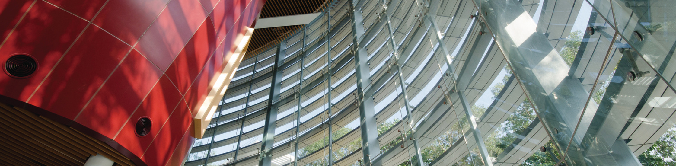 The Chinese University of Hong Kong, Shenzhen 5
